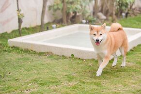 Pet Taitung Homeabout