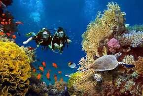 Hurghada apartment