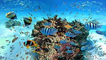 Hurghada apartment