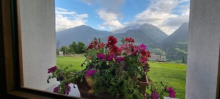 Lo Noyer Et Les Roses