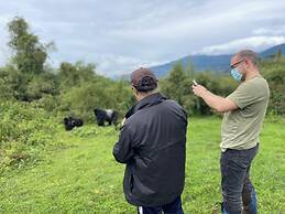 Room in B&B - Nice Rooms, Unbeatable Prices