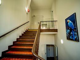 Banana's Camp - Hostel