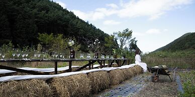 La Terra Nagano