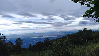 Dolphin Nose Retreat