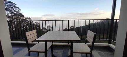 Dolphin Nose Retreat