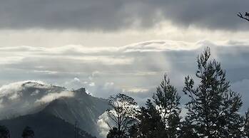 Dolphin Nose Retreat