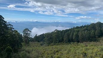 Dolphin Nose Retreat