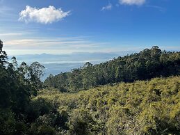 Dolphin Nose Retreat