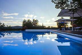 Oliveta a Retreat Surrounded by Olive Trees