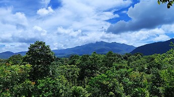 Rio Celeste Nature View