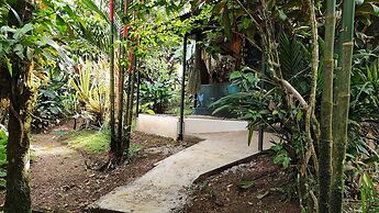 Rio Celeste Nature View