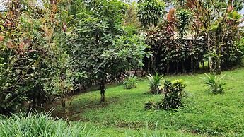 Rio Celeste Nature View