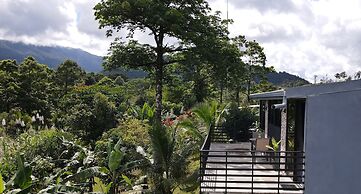 Rio Celeste Nature View