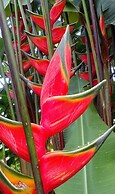 Jardín entre Montañas