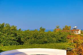 Villa Ira Finiki in Latchi