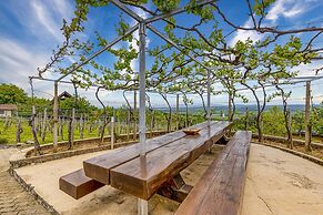 Vineyard Homestead Vrtin