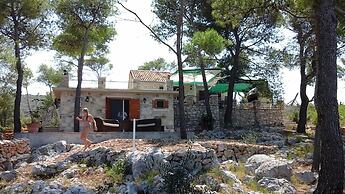 House Vesna Kupinova
