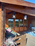 Jacuzzi, Cows, Dairyfarm, Relaxing, Sleeping