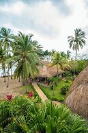 coconuco beach palomino