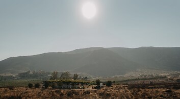 The Pangea Valle de Guadalupe