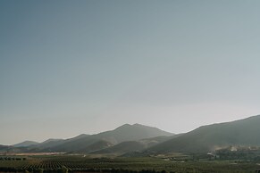 The Pangea Valle de Guadalupe