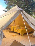 Tipis Manu Surf