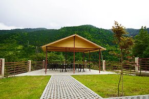Holiday Borjomi