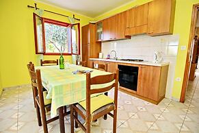 Apartments Bacic