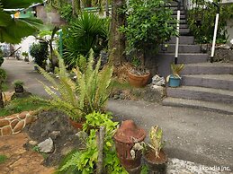 Turtle Inn Resort
