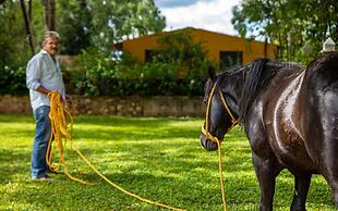Hacienda San Miguel