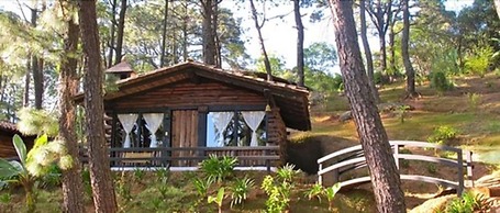 Monteverde Hotel de Cabañas