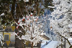 Hotel Chalet Olympia