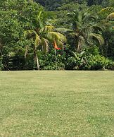 Cove 55