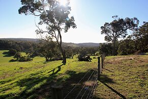 Wildwood Valley