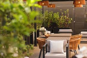 Terrado Lyon