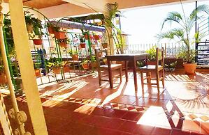 Paloma Del Mar