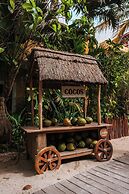 Hotel Casa Colibri