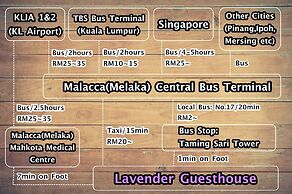 Lavender Guesthouse - Hostel