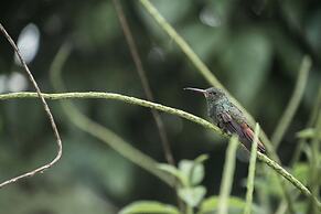 Catarata Eco-Lodge