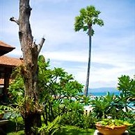 Rin Beach Resort