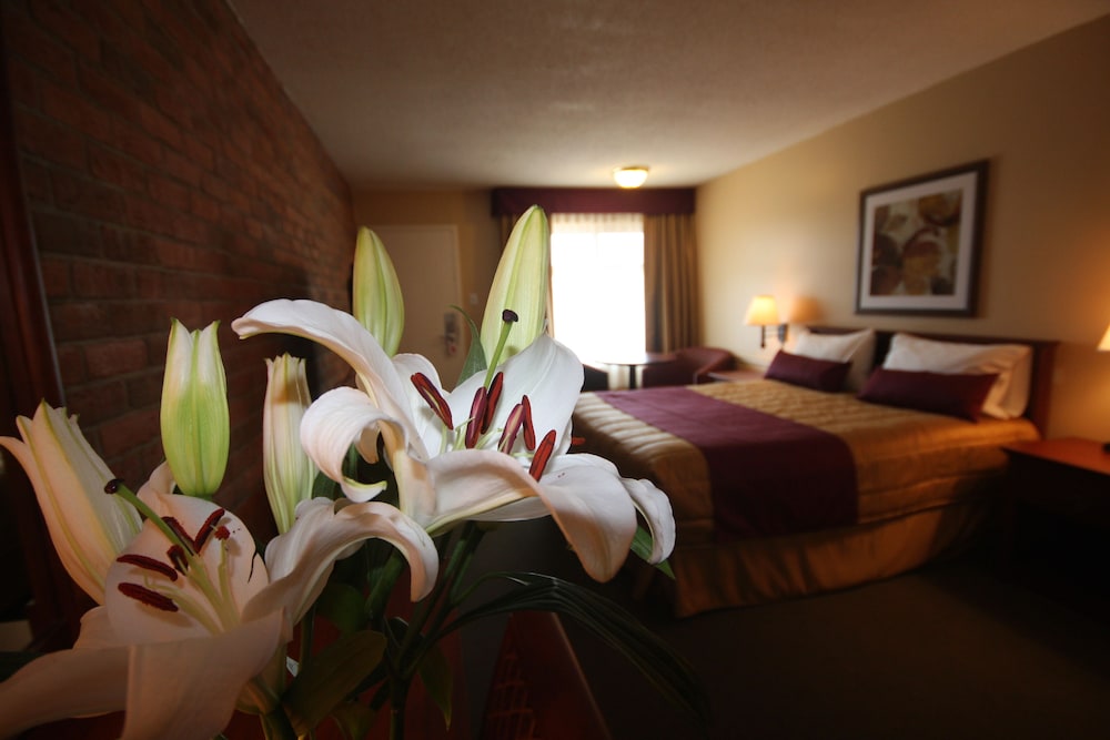 Motel Adam