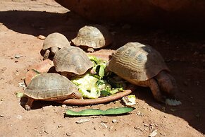 Kasbah Africa