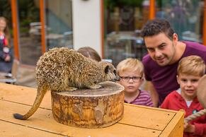 Chessington Resort Hotel