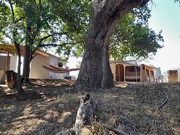 Bushriver Lodge