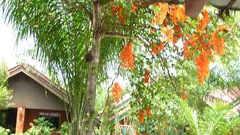 Ladda Resort