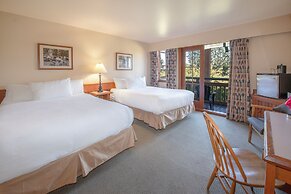 Painter's Lodge