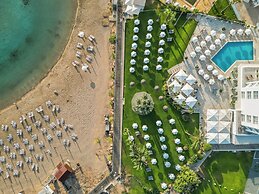 Infinity Blu - Designed for Adults