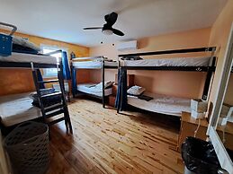 Auberge Jeunesse LouLou's Backpacker Hostel
