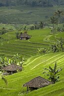 Cempaka Belimbing Villas