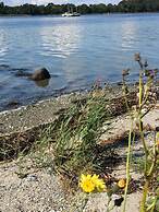 Rønhave